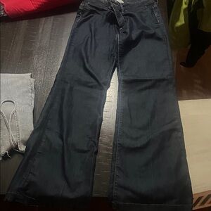 Banana Republic Dark Blue Flare Jeans